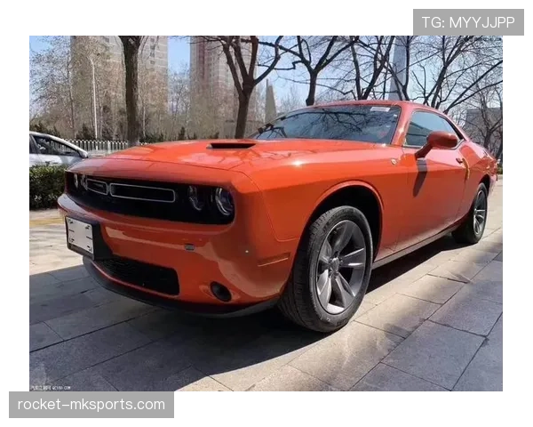 法马赛事节奏再升级，全新挑战点燃速度与激情