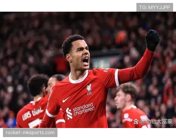 累计警告规则拆解：黄牌满额后到底如何影响球队阵容？